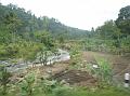 2007 07 13 BALI 067-1